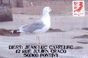 Pontivy (56)  FRANCE