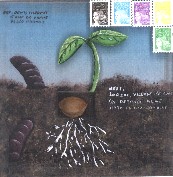 Le Caylar France