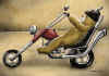biker.jpg (34609 octets)