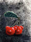 cerises.jpg (78744 octets)