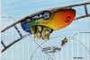 montagne russe.jpg (27656 octets)
