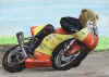 moto.jpg (30826 octets)